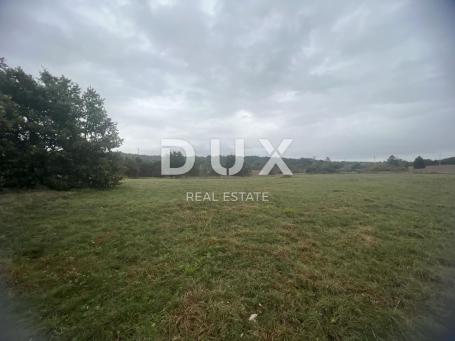ISTRA, LABIN - Poljoprivredno zemljište 27394m2