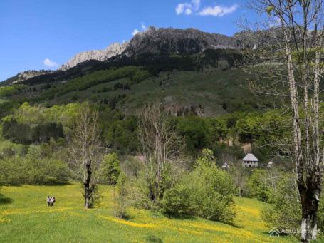 Zemljište sa panoramskim pogledom u Lipovu, Kolašin - 8,5 hektara