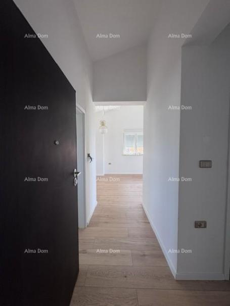 Wohnung The title