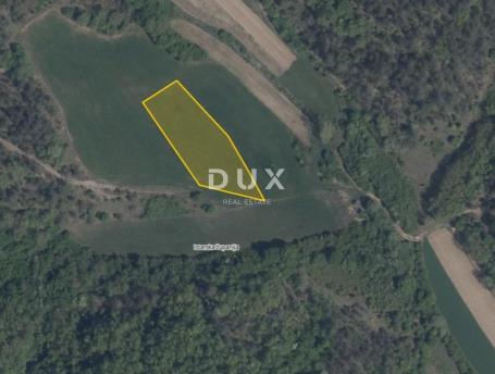 ISTRA, PAZIN, CEROVLJE – Oranica i livada 5.132 m²