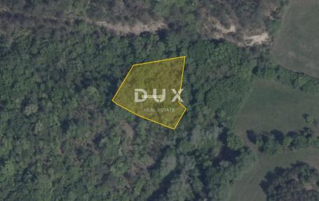 ISTRA, PAZIN, CEROVLJE – Zemljište 1.557 m², pašnjak