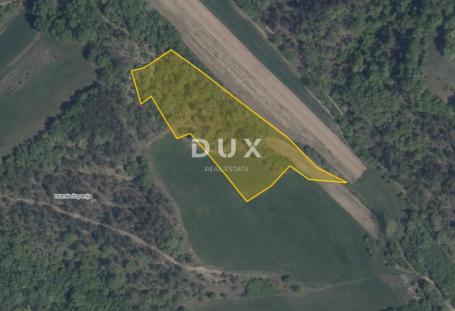 ISTRA, PAZIN, CEROVLJE – Zemljište 8.919 m², oranica, livada i pašnjak