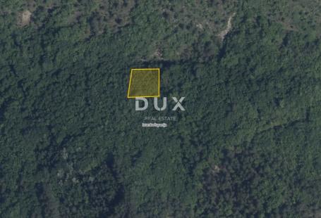 ISTRA, PAZIN, CEROVLJE – Zemljište 1.075 m², šuma