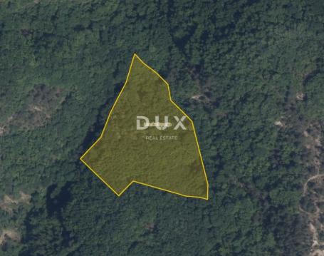 ISTRA, PAZIN, CEROVLJE – Šuma 12.020 m²