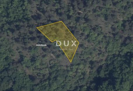 ISTRA, PAZIN, CEROVLJE – Poljoprivredno zemljište 1.465 m², djelomično obraslo šumom