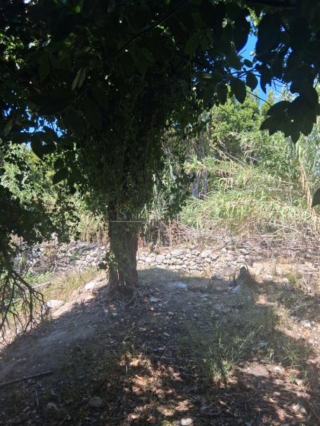 Male Srakane, pokraj otoka Lošinja - Ruševina, 58 m2
