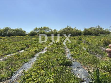 ZADAR, MURVICA - Poljoprivredno zemljište s potencijalom - 3000m²