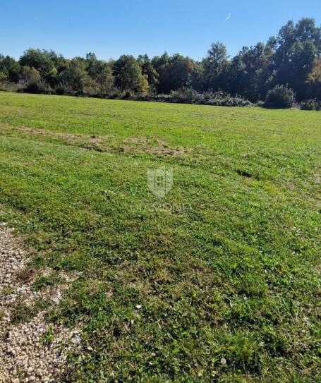 Zemljište 1.492 m² u okolici Tinjana – mir, priroda i potpuna privatnost