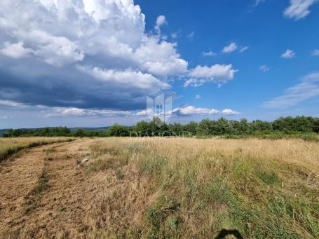Poreč, Vižinada, atraktivno zemljište u prestižnom okruženju