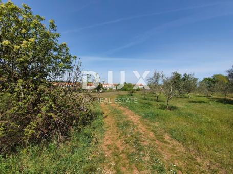 ISTRA, MARČANA - Građevinsko zemljište na rubu naselja