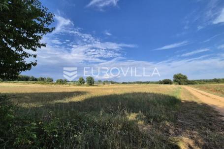 Kaštelir, Cerjani, poljoprivredno zemljište 32619 m²