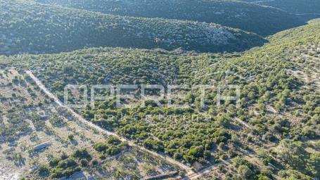 Povlja, Povlja, 7.647,00 m2, 76.470,00 EUR