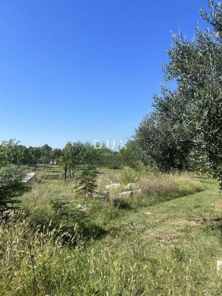 ISTRA, RAKALJ - Građevinsko zemljište na odličnoj lokaciji