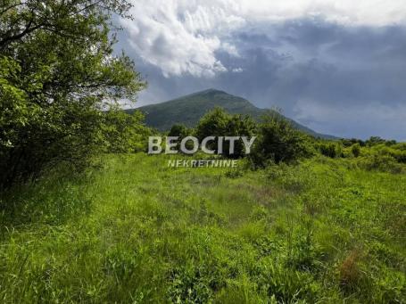 Zaječar, Boljevac, Mirovo, 10a, 40000EUR