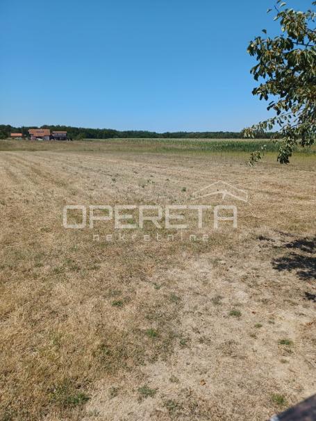 Trpučanska cesta, Donji Dragonožec, 3.865,00 m2, 212.575,00 EUR