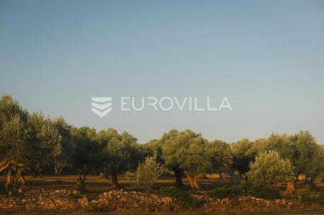 Istra, Labin, atraktivno građevinsko zemljište 1.234 m² s projektom za obiteljsku kuću