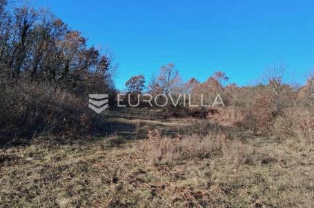 Istra, Barban, atraktivno poljoprivredno zemljište 4 729 m². 