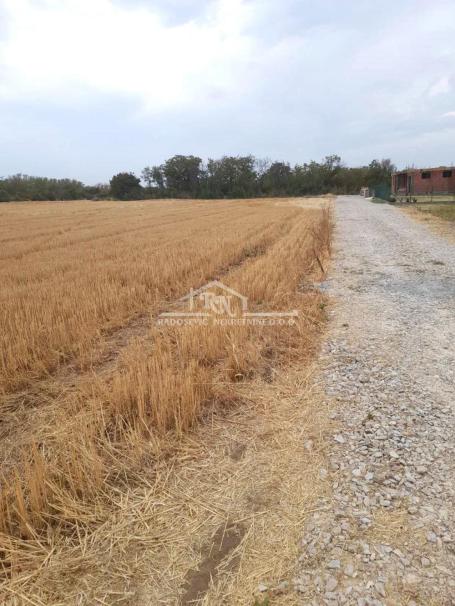 Čukarica, Savska terasa, Stari lanci, 6 ari ID#1706