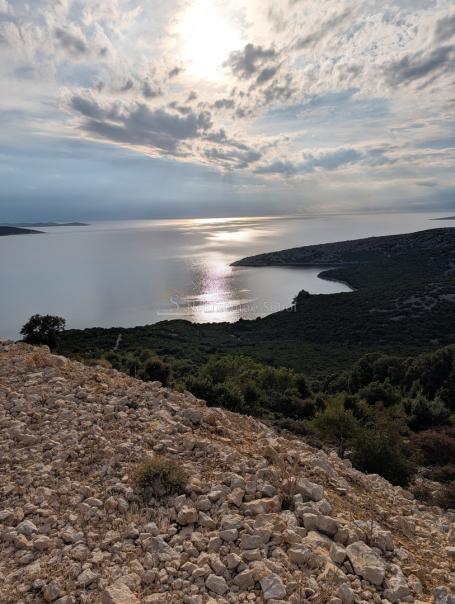 Ustrine, Otok Cres - Šuma, 6223 m2