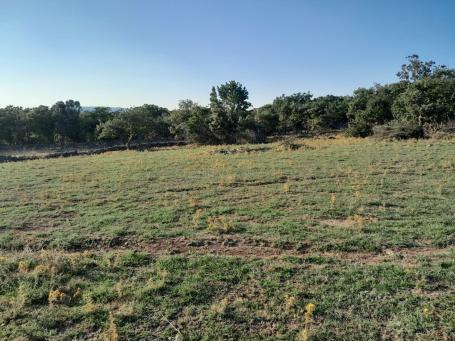 Belej, Otok Cres - Poljoprivredno, 76023 m2
