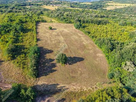 Prodaja: Uknjiženo Poljoprivredno Zemljište – Babe, Sopot ID#1461