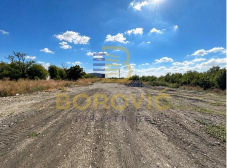 Ugrinovci-Zemunska, 95.53 ara